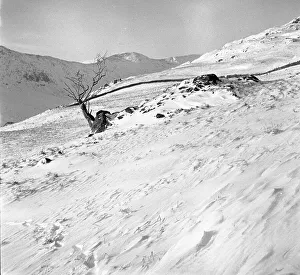 Snow covered mountains and hills