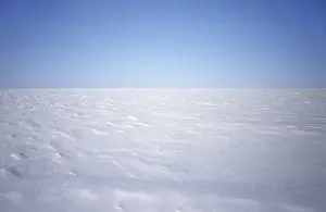 Lemming Prints: Snow-covered tundra in winter