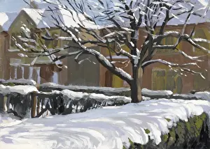 Snow in a Mill Hill garden