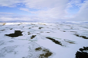 Siberia Collection: Snow melts in arctic tundra spring. Aerial view