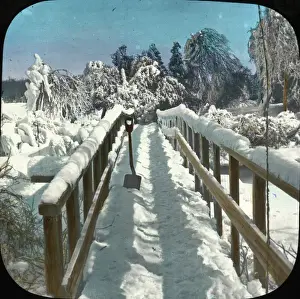 Prospect Prints: Snow in Prospect Park, Niagara, NY State, USA