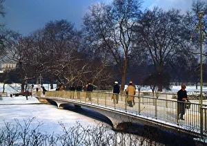 Snow, Regents Park, London