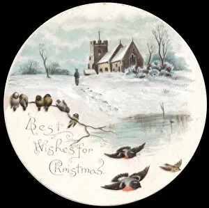 Images Dated 17th November 2015: Snow scene with birds on a circular Christmas card