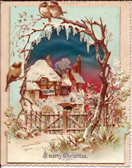 Sparrow Collection: Snow scene with birds and cottage on a Christmas card