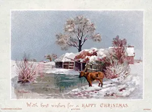 Barn Prints: Snow scene with cow and pond on a Christmas card