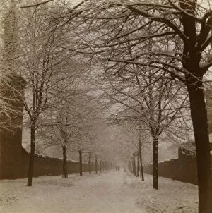 Ealing Collection: Snow scene in Longfield Avenue, Ealing, West London