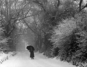 Winter Scenes Gallery: Snow Scene / Pangbourne