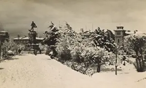 Snow scene, Punta Arenas, Magallanes, Chile, South America