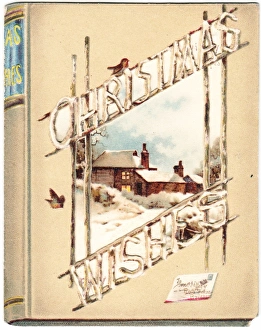 Robin with Winter Scene