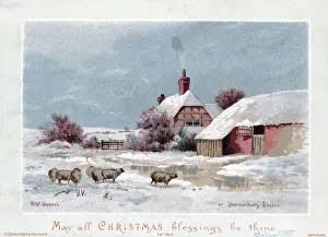 Barn Prints: Snow scene with sheep and pond on a Christmas card