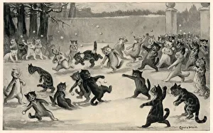Cats Collection: Snowballing by Louis Wain