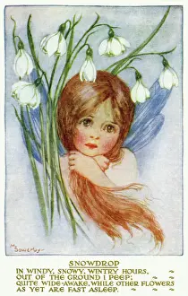Snowdrop