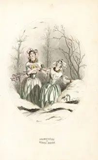 Snowdrop Prints: Snowdrop and cowslip flower fairies