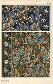 Plants/Galanthus