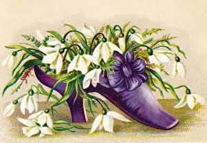 Snowdrop Prints: Snowdrops growing in a shoe on a greetings card