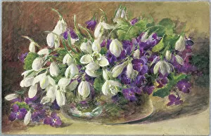 Watercolour Gallery: Snowdrops and Violets