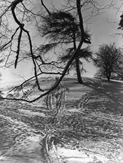 Snowy Hillside