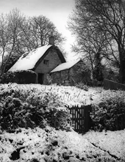Snowy Thatched Cottage