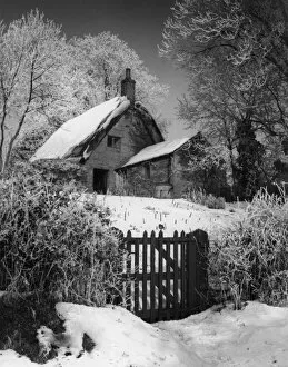 Winter Scenes Gallery: Snowy Thatched Cottage