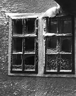 Panes Prints: Snowy Window