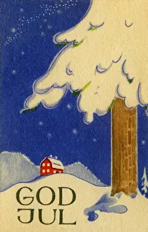 Snowy winter scene