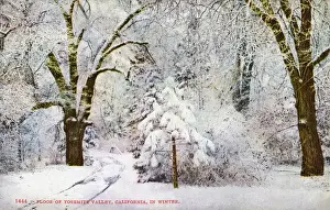 Yosemite Prints: Snowy winter scene in Yosemite Valley, California, USA