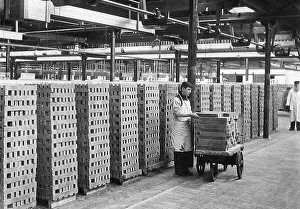 Stacked Prints: Soap stacked to dry, Port Sunlight soap factory, Wirral