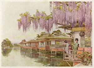 Geishas Collection: Social / Japan Waterside