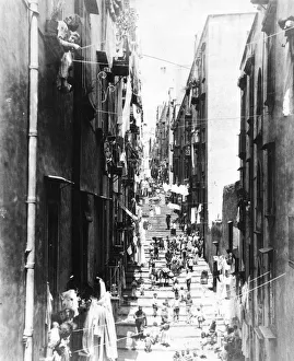 Images Dated 28th November 2018: SOCIAL / NAPLES STREET