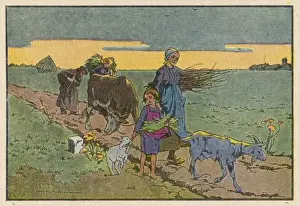 Social / Peasant Livestock