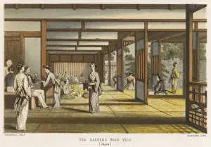 Yedo Prints: SOCIAL / TOKYO TEA GARDEN