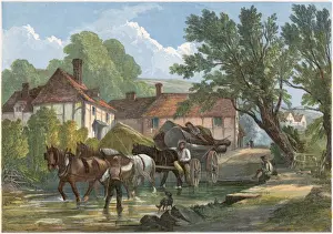 Social / Village Sutton