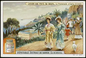 SOCIAL / YALTA HOLIDAYS