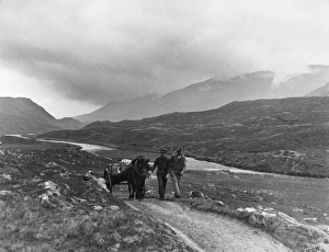 Images Dated 18th November 2015: Soctland / Glen Affric