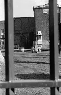 Soho, London - St Annes Gardens, Wardour Street W1