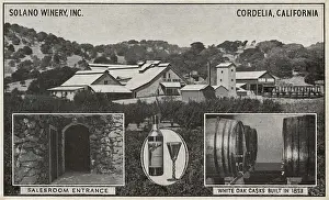 Vineyard Prints: Solano Winery Inc, Cordelia, Solano County, California, USA