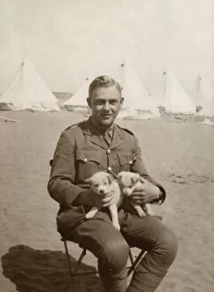 Images Dated 10th February 2017: Soldier at camp holding two puppies, WW1