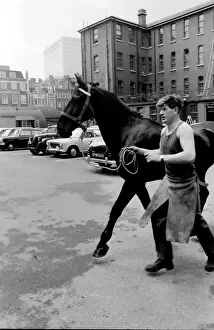 Soldier leading a horse