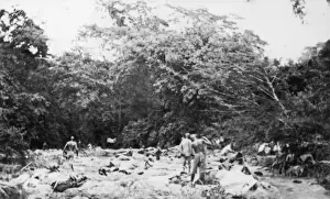 Soldiers camping at the Lumi River, East Africa, WW1