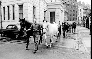 Soldiers leading horses