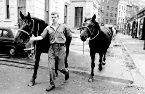 Horseguard Prints: Soldiers leading horses