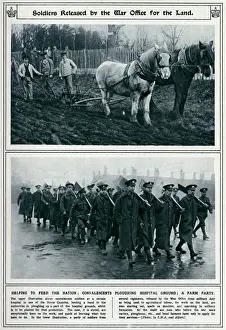 Released Prints: Soldiers released by the War Office for land 1917
