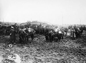 Images Dated 22nd May 2014: Soldiers on the Western Front, WW1
