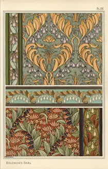 Grasset Prints: Solomons seal, Polygonatum multiflorum, as