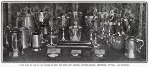 Images Dated 18th January 2021: Somerleyton Hall, near Lowestoft - Cups won by Sir Savile Crossley