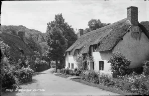 A Somerset Cottage