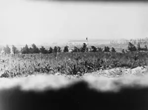 The Somme 1916