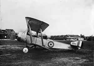 Strutter Prints: Sopwith 1 1 / 2 Strutter 9382