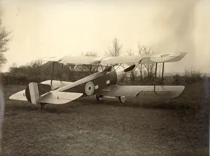 Strutter Prints: Sopwith 1 Strutter