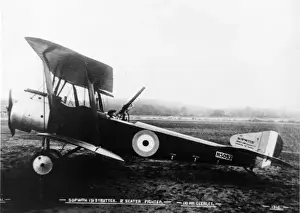 Sopwith 15 Strutter 2-seat fighter (side view)